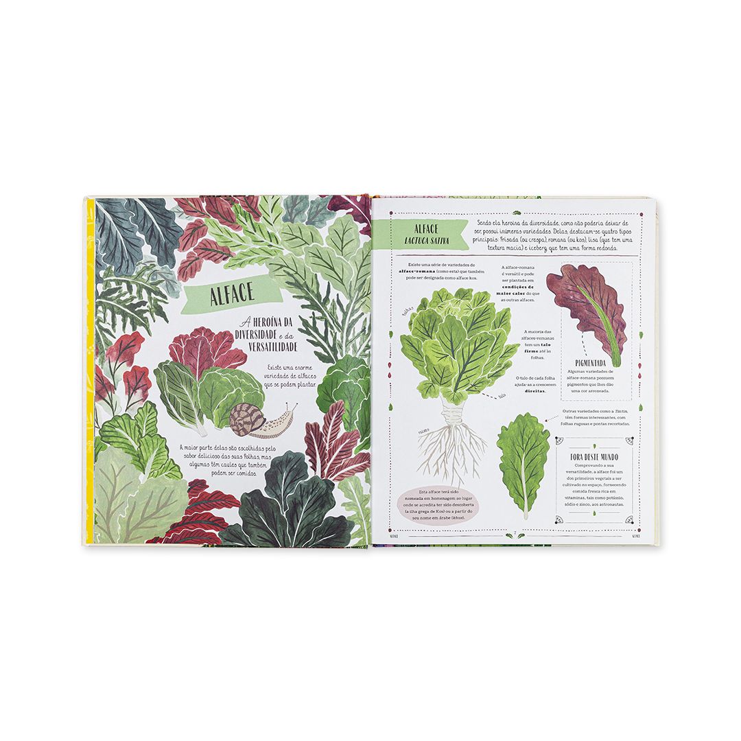 Planta - Edicare - imagem 2