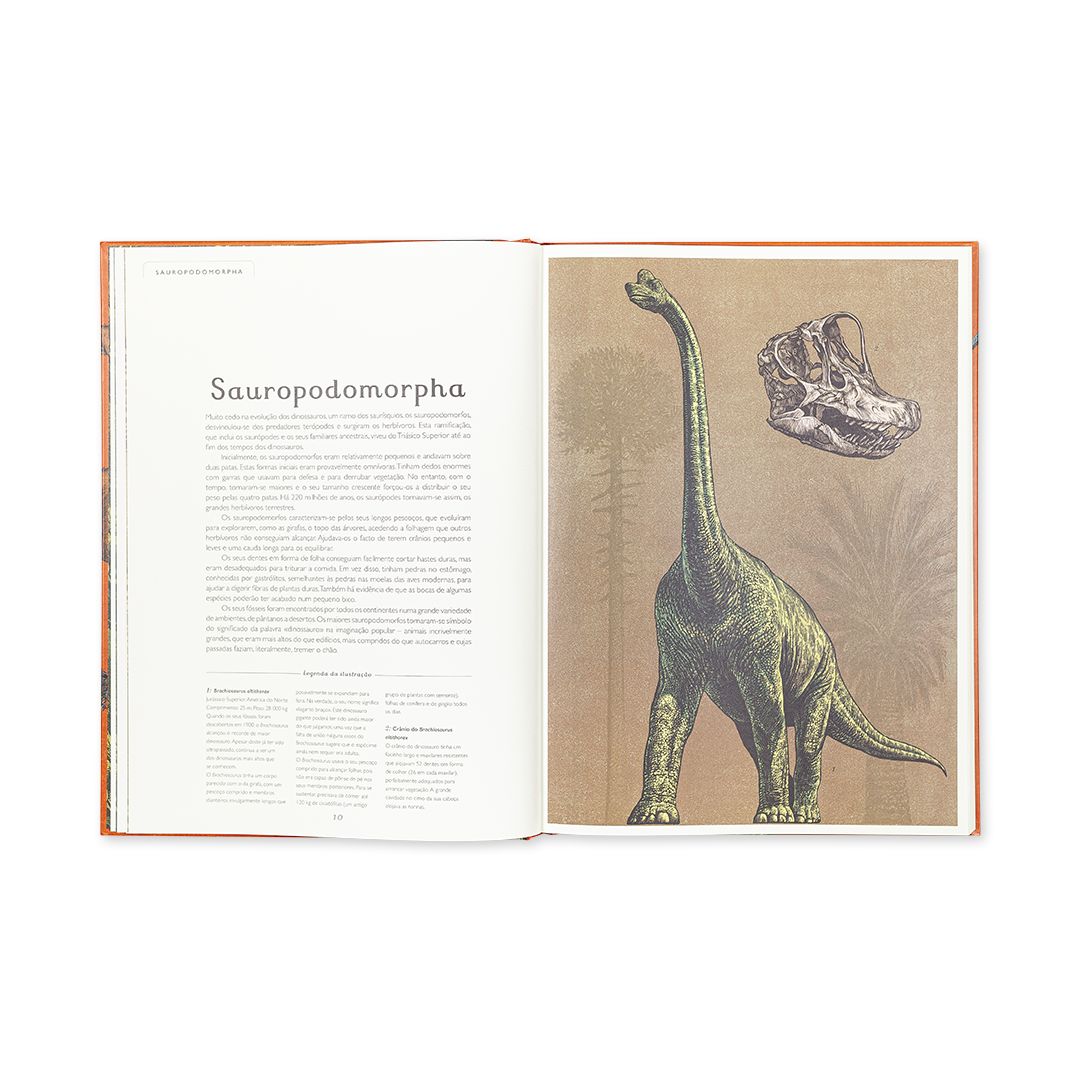 Dinosaurium - Edicare - imagem 3