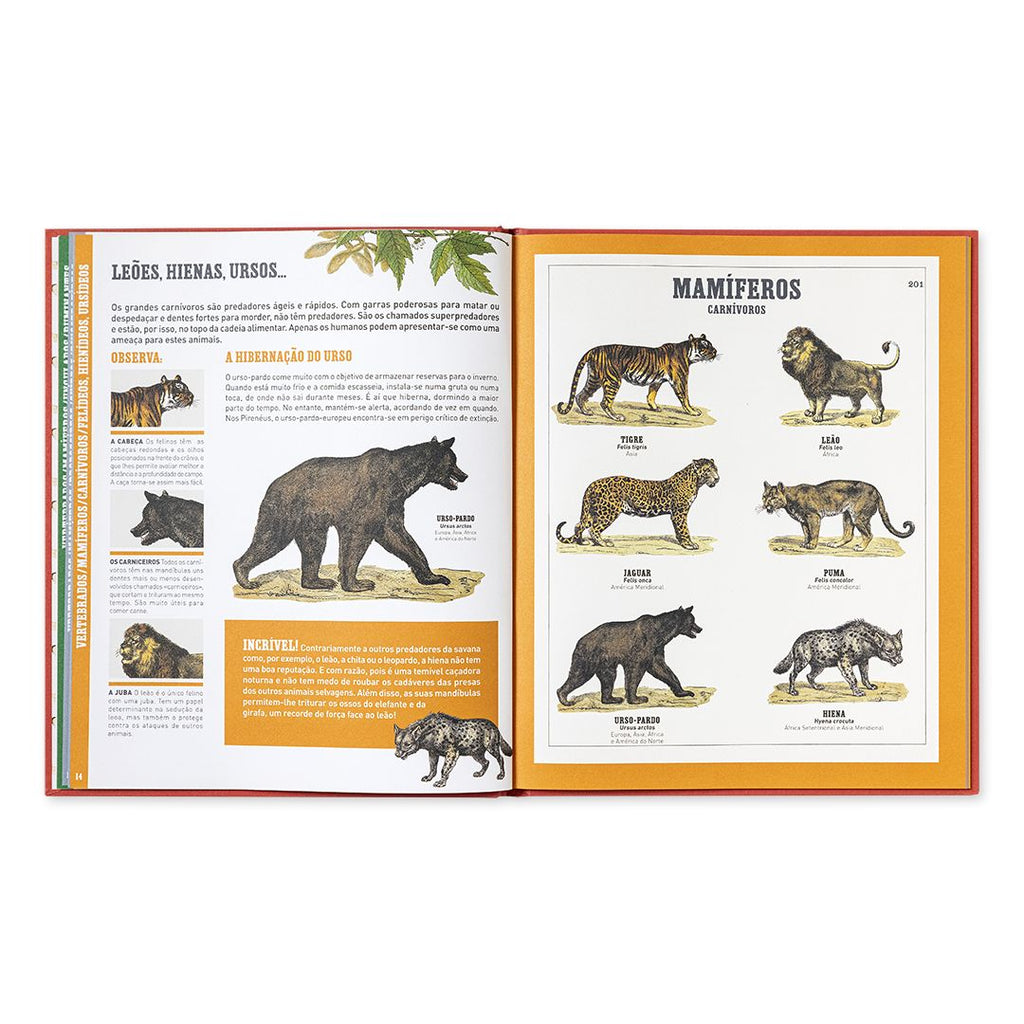 O Grande Livro dos Animais - Edicare - imagem 3