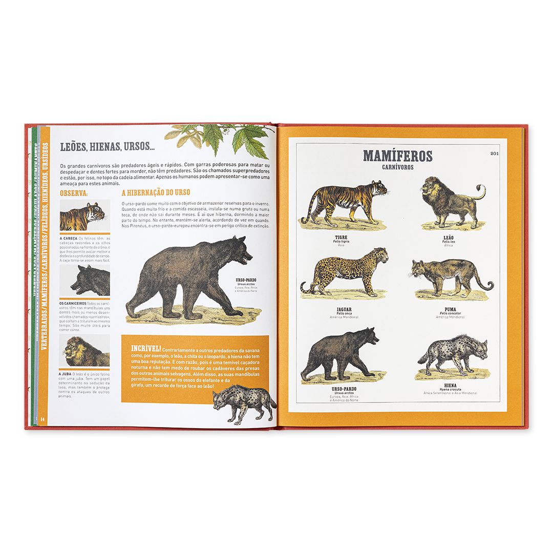 O Grande Livro dos Animais - Edicare - imagem 3