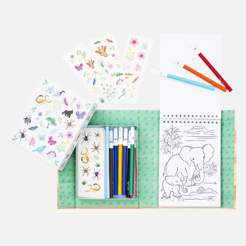 Set Colorir Animais