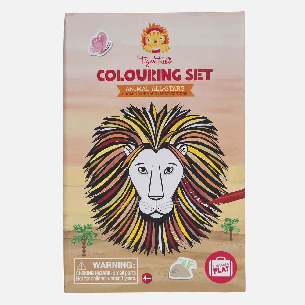 Set Colorir Animais