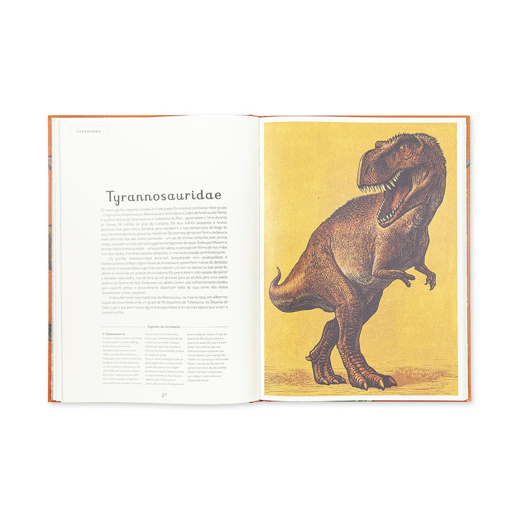 Dinosaurium - Edicare - imagem 4