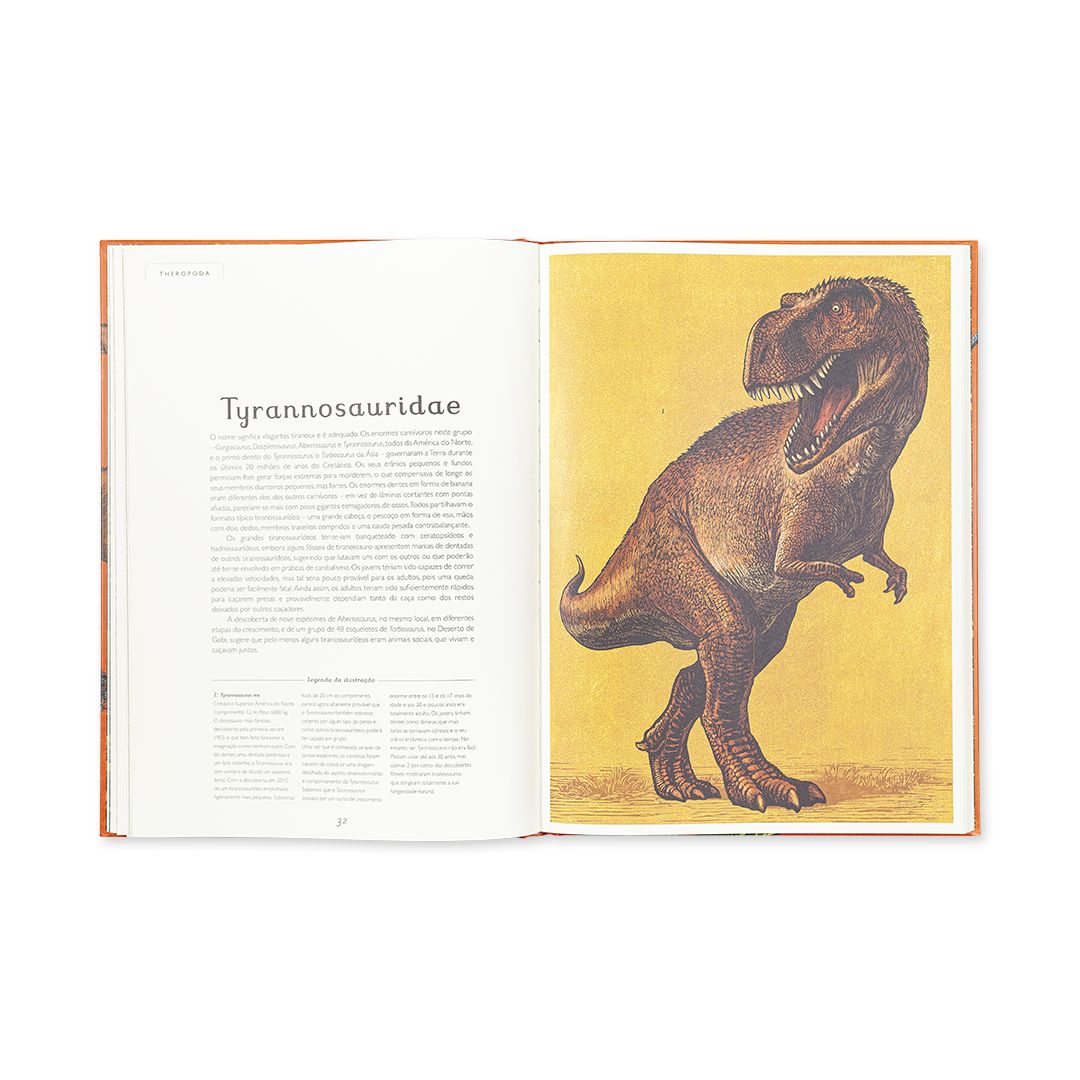 Dinosaurium - Edicare - imagem 4