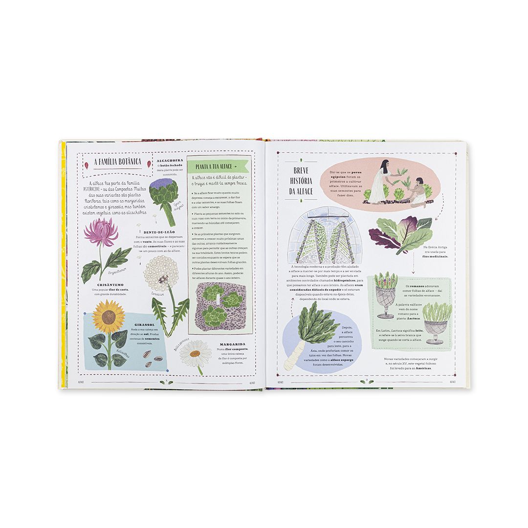 Planta - Edicare - imagem 3