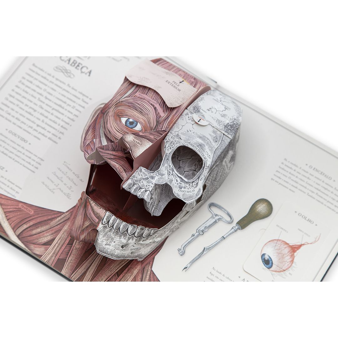 O Corpo Humano - Edicare - imagem 4