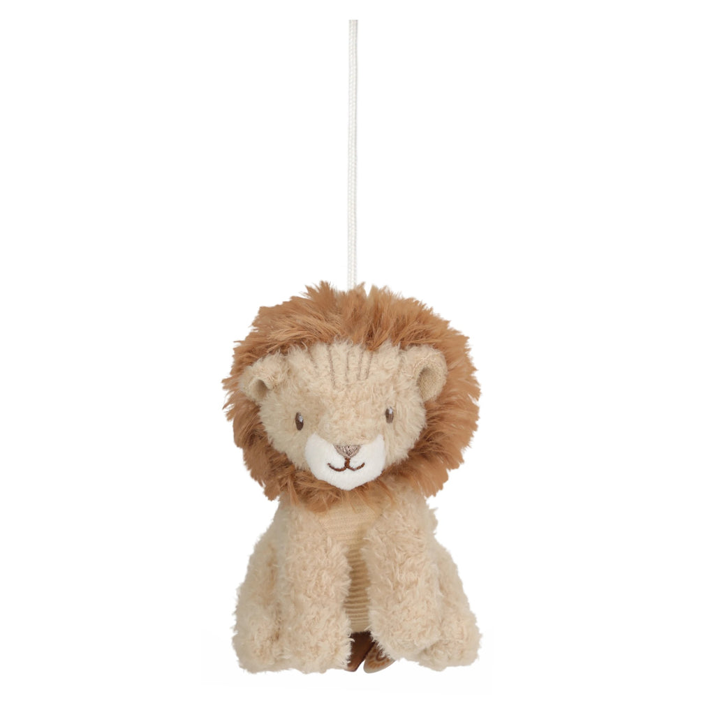 Mobile Musical em Madeira | Safari Friends