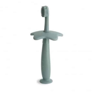 Escova de Dentes | Estrela | Cambridge Blue