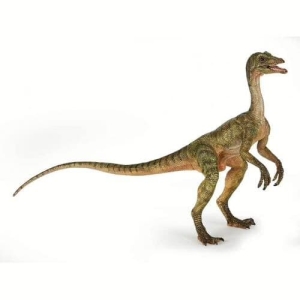 55072
