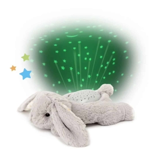 Benny the Bunny | Dream Buddies