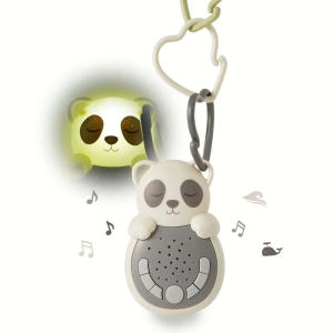 Panda | Sweet Dreamz On the Go