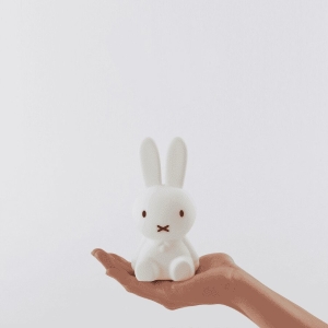 Miffy | Bundle of Light