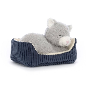 Napping | Nipper | Cat