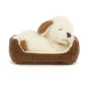 Napping | Nipper | Dog