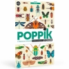 POPDIS007