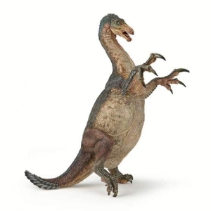55069