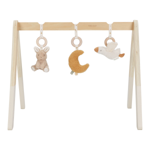 baby-gym-newborn-naturals-ld8410-product-2