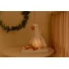cuddle-goose-light-sound-ld8440-7
