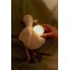 cuddle-goose-light-sound-ld8440-8