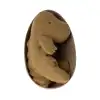 16-2605-00-2