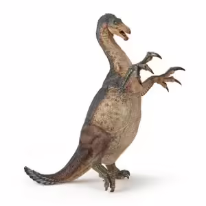 55069