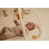 activity-play-mat-newborn-naturals-ld8417-7
