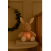 cuddle-bunny-light-and-sound-ld8441-5