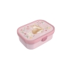 lunch-box-campus-fairy-garden-107440065406-product-1 - 1650 x 1238