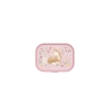 lunch-box-campus-fairy-garden-107440065406-product-2 - 1650 x 1238